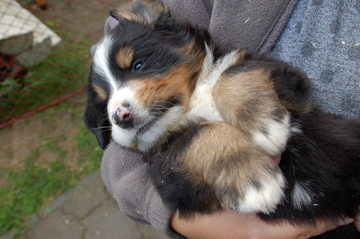img00002.jpg