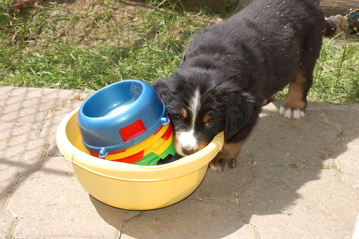 img00011.jpg