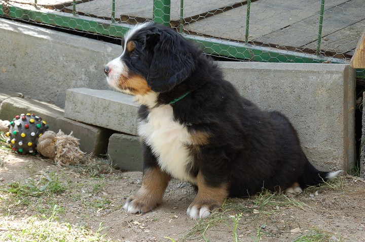 img00014.jpg