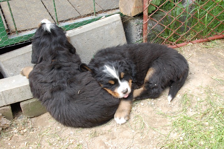 img00018.jpg