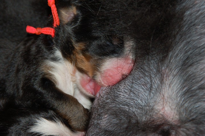 img00016.jpg