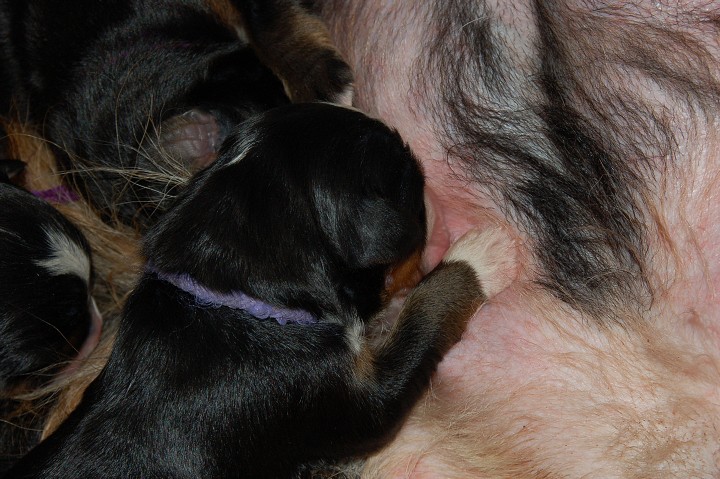 img00019.jpg
