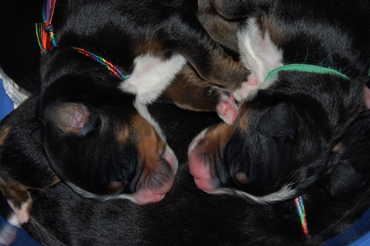 img00054.jpg