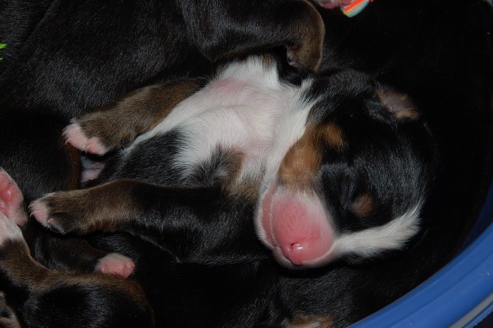 img00079.jpg