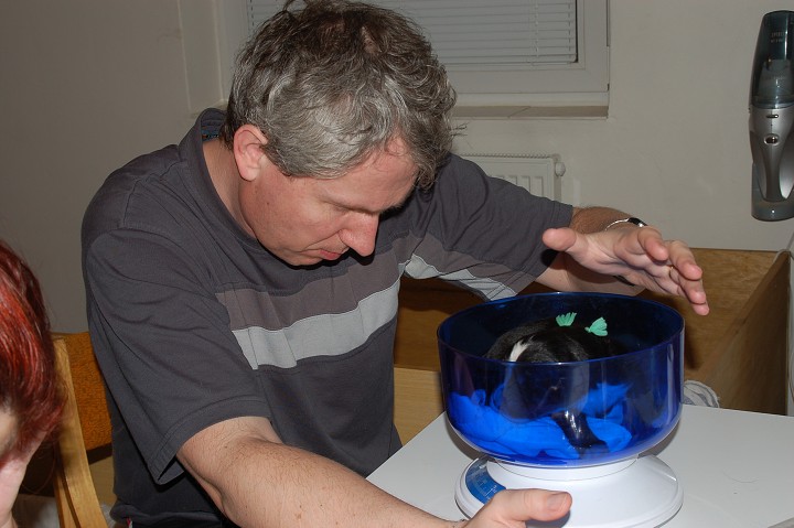 img00022.jpg