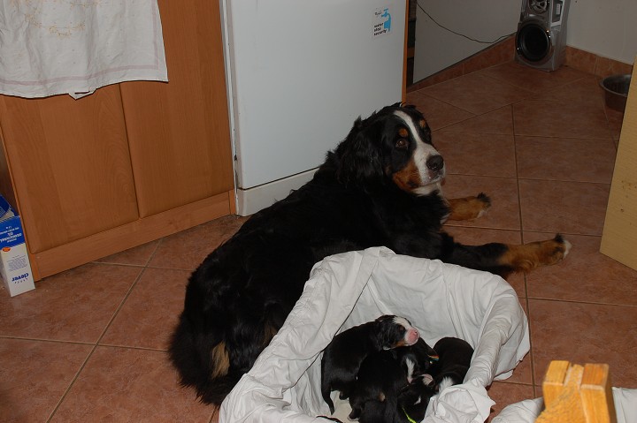 img00024.jpg