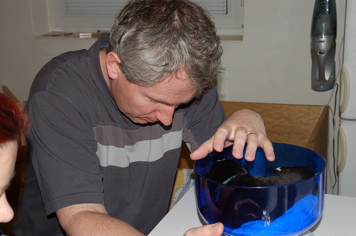 img00025.jpg