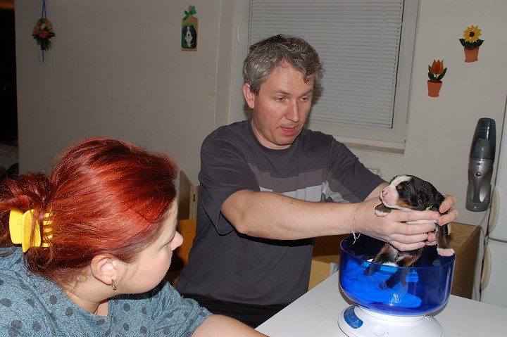 img00027.jpg