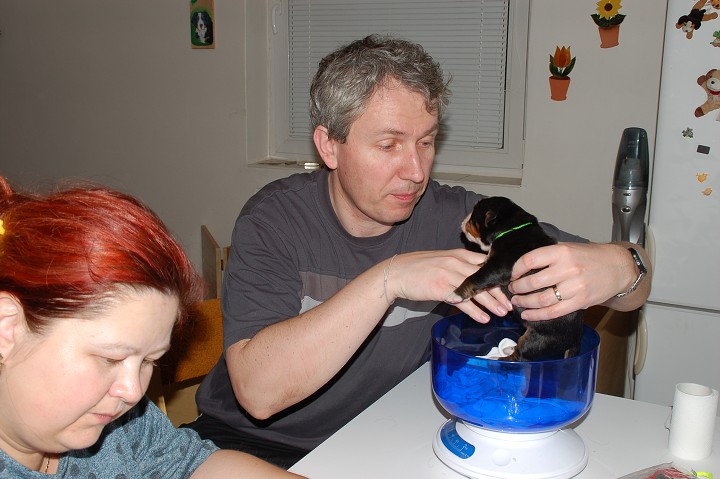 img00030.jpg