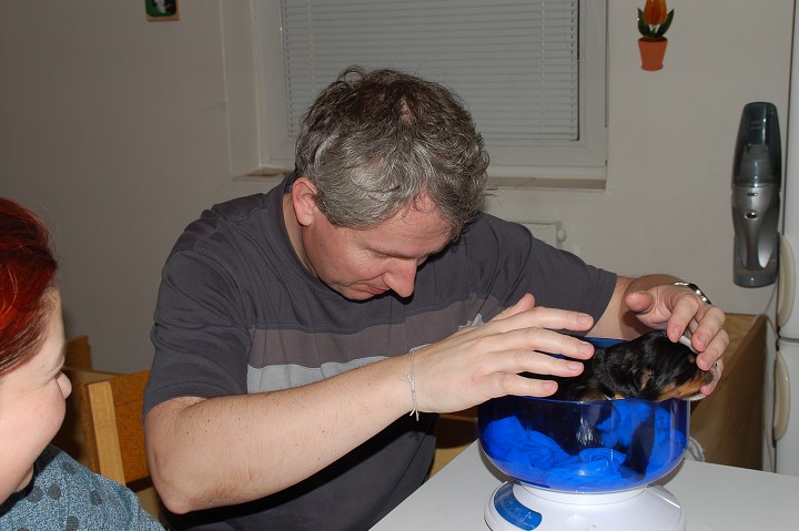 img00032.jpg