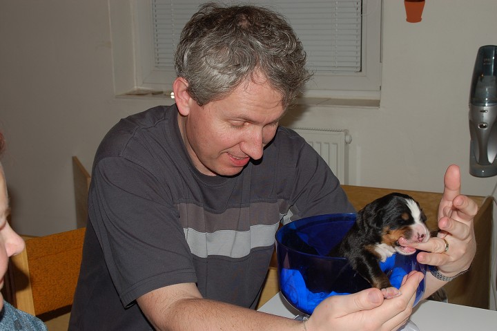 img00033.jpg