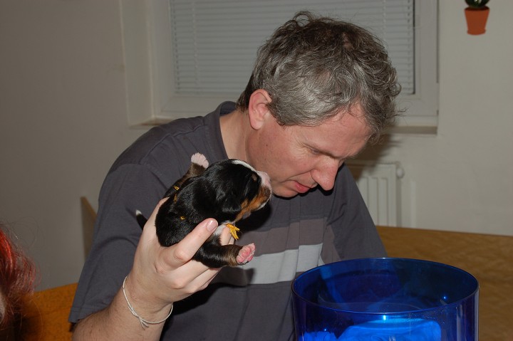img00036.jpg