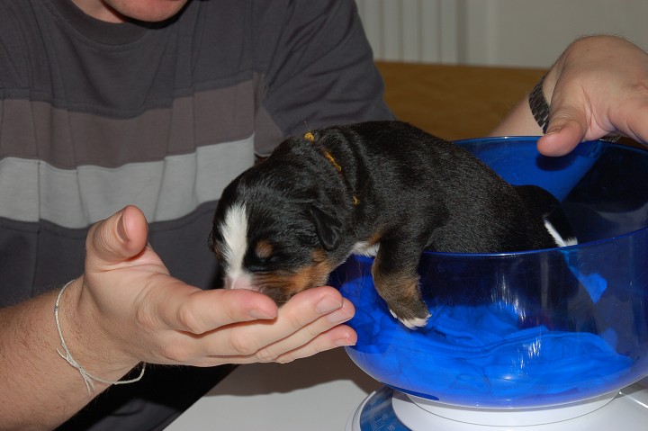 img00038.jpg