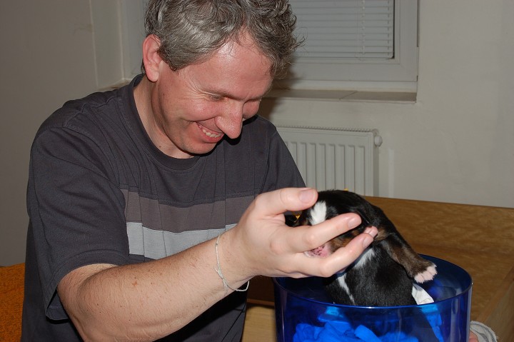 img00039.jpg