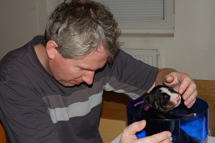 img00046.jpg