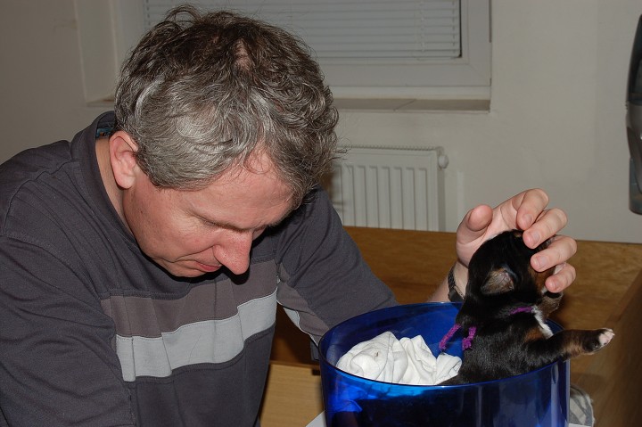 img00047.jpg