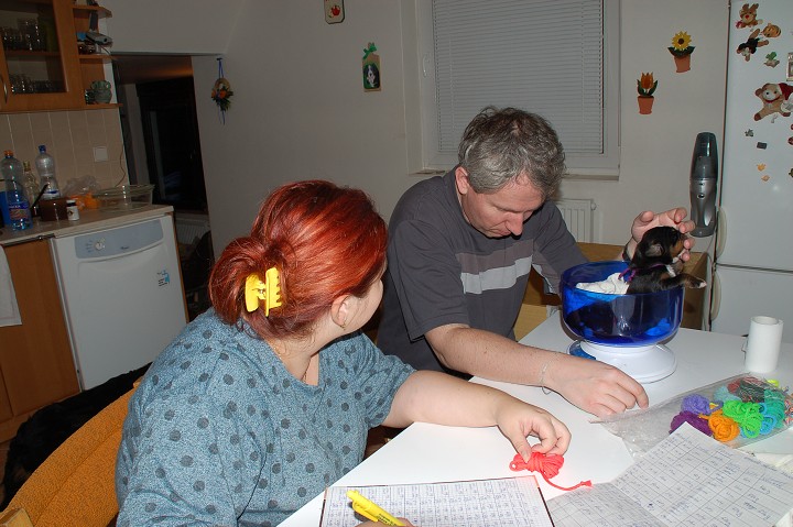 img00048.jpg