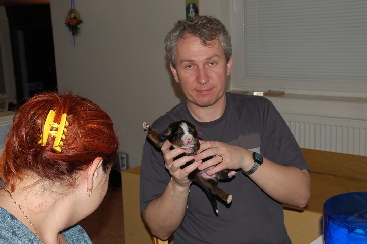 img00052.jpg