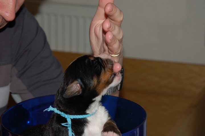 img00054.jpg