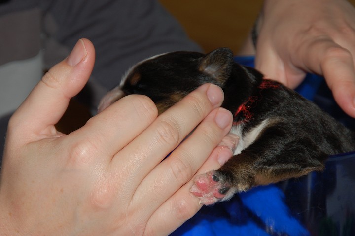 img00056.jpg