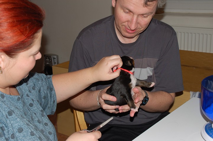 img00059.jpg