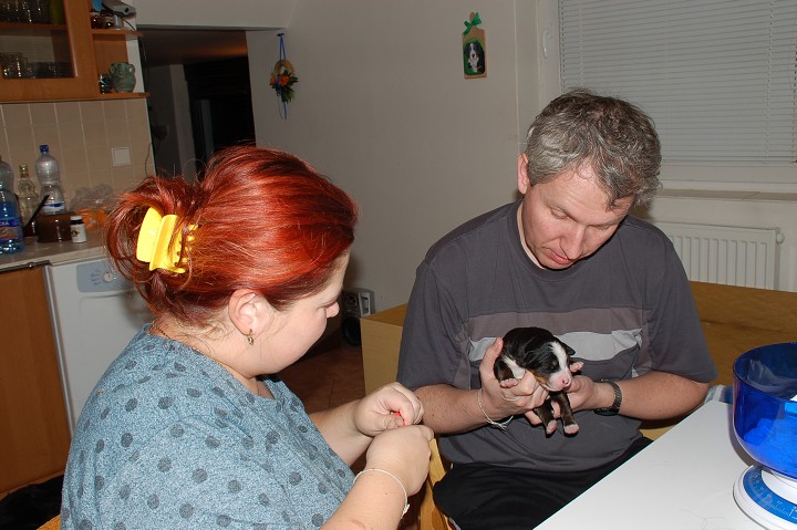 img00064.jpg
