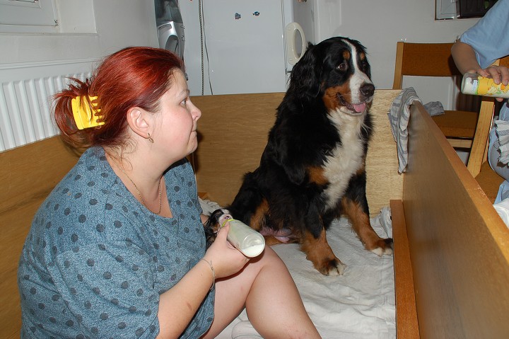 img00076.jpg