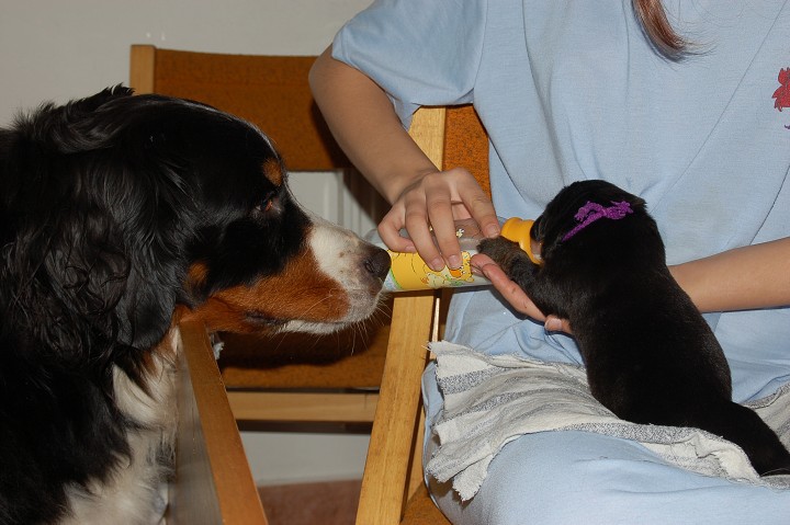 img00077.jpg