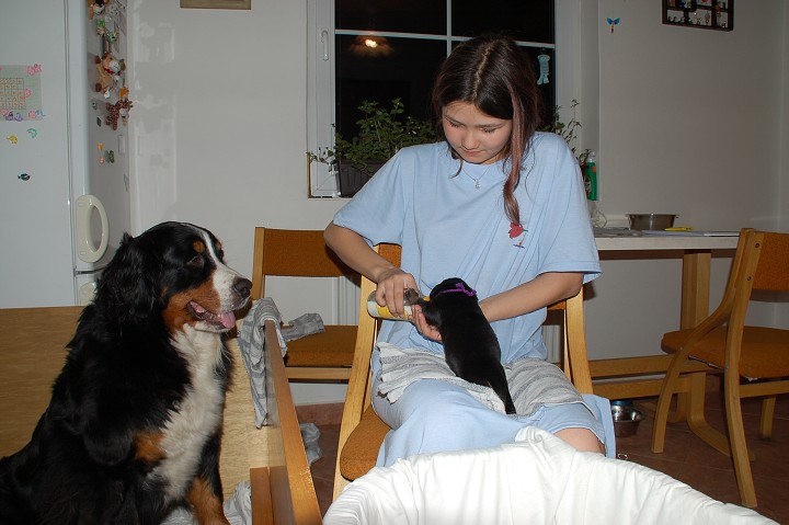 img00078.jpg