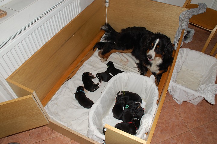 img00083.jpg