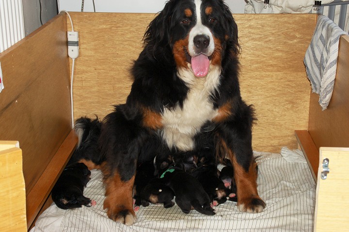 img00084.jpg