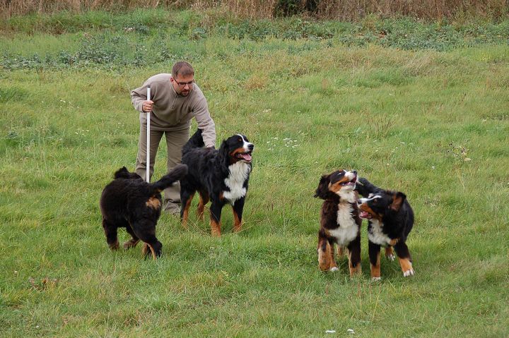 img00007.jpg