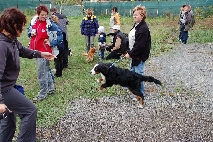 img00019.jpg