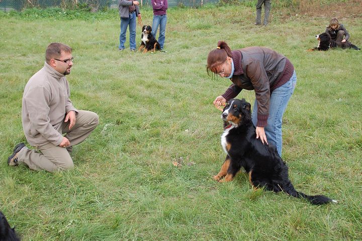 img00022.jpg