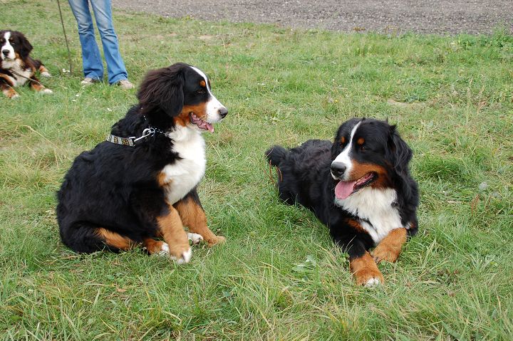 img00028.jpg