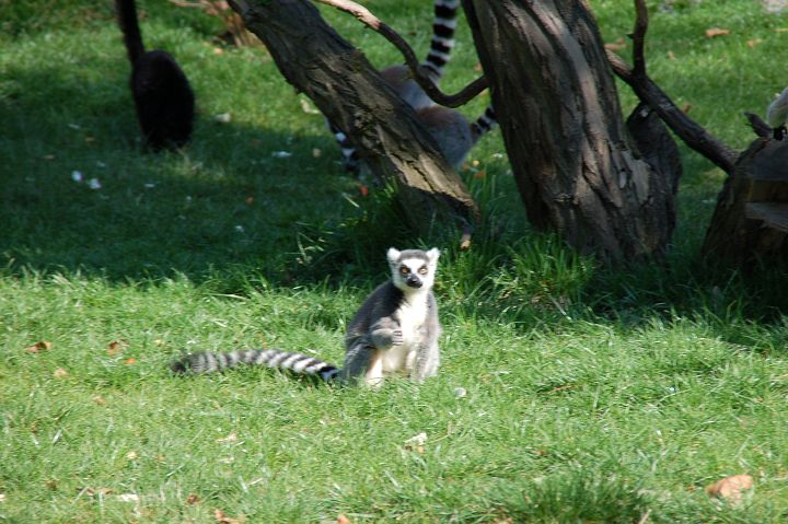 img00003.jpg