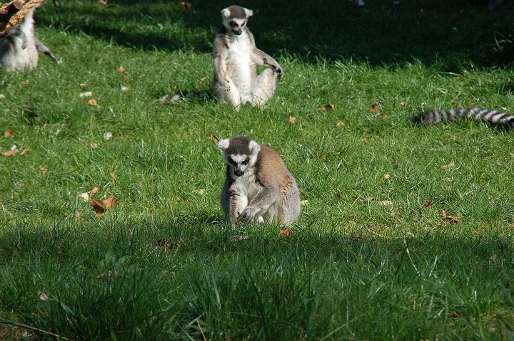 img00004.jpg