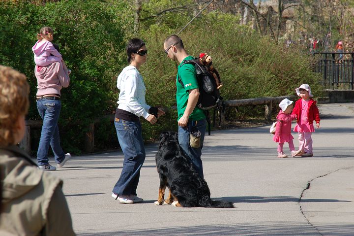 img00010.jpg