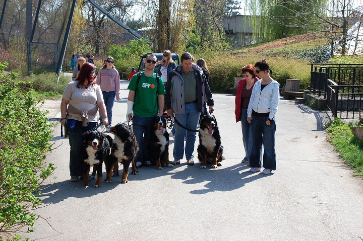 img00014.jpg