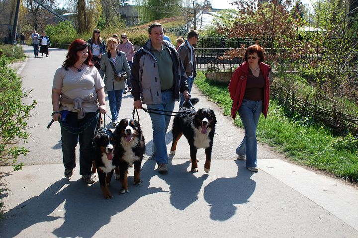 img00015.jpg