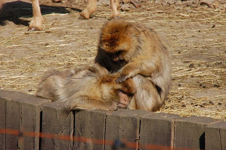 img00018.jpg