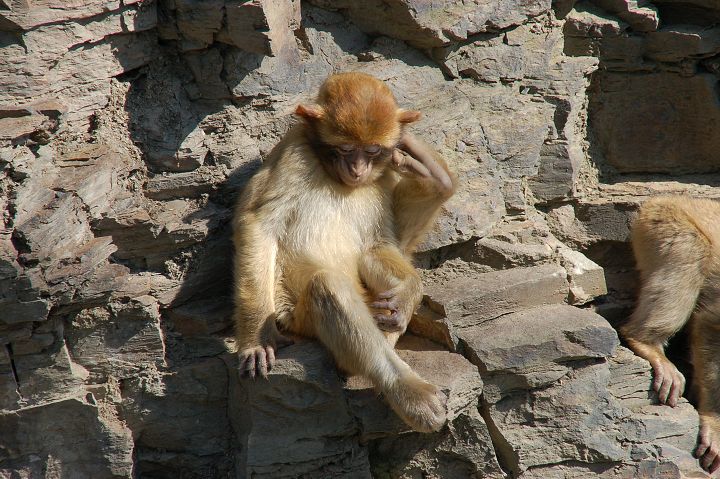 img00033.jpg