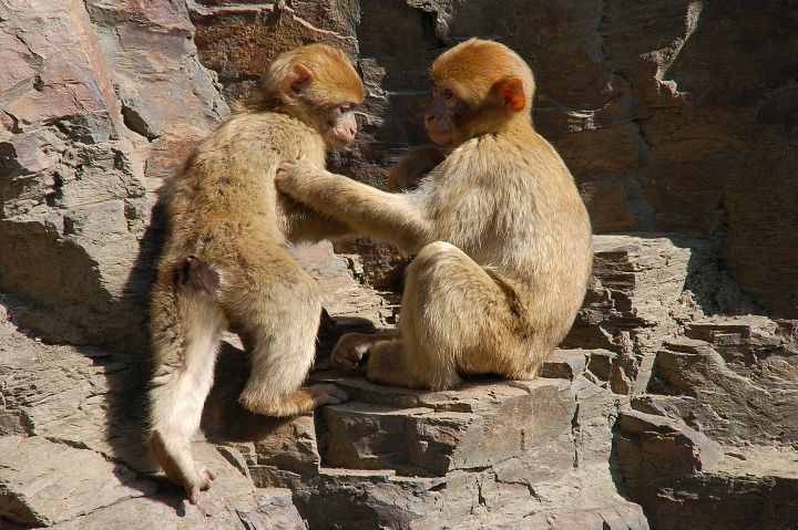 img00035.jpg