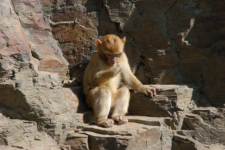 img00037.jpg