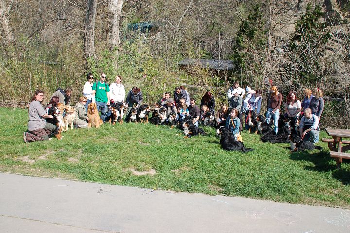 img00040.jpg
