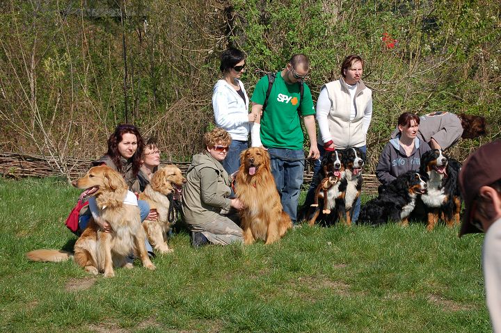 img00041.jpg