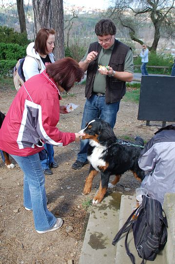 img00060.jpg