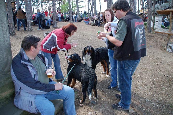 img00061.jpg