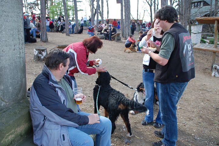 img00062.jpg