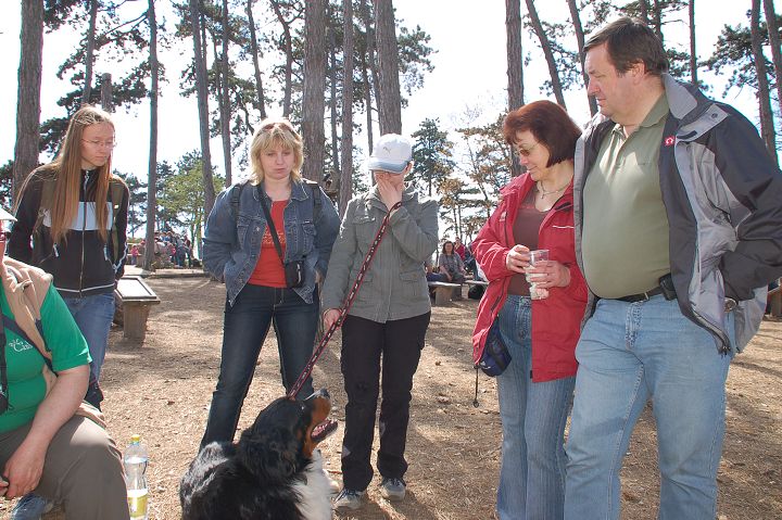 img00069.jpg